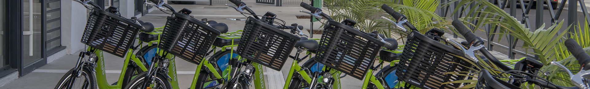 Les vélos Velisud à louer