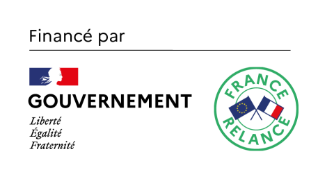 logo financé par le gouvernenement