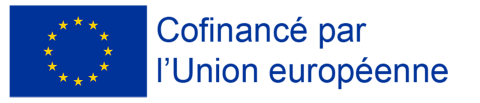 logo europe co-financé police jaune_3