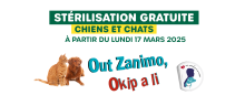 Sterilisation 2025