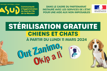 Stérilisation gratuite chiens & Chats