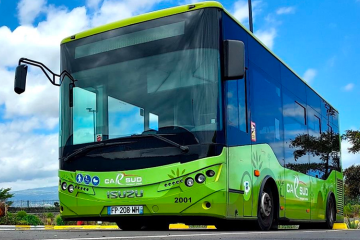 Gratuité des transports - Miel Vert 2025