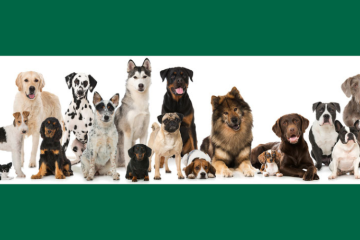 Appel à projets – Éducation à la bientraitance animale